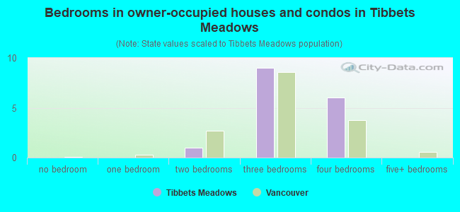 Bedrooms in owner-occupied houses and condos in Tibbets Meadows