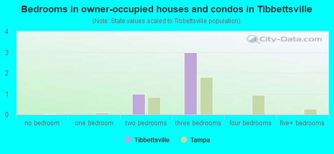 Bedrooms in owner-occupied houses and condos in Tibbettsville
