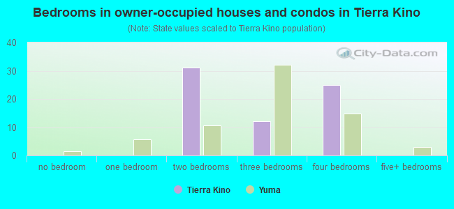 Bedrooms in owner-occupied houses and condos in Tierra Kino