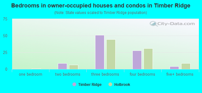 Bedrooms in owner-occupied houses and condos in Timber Ridge