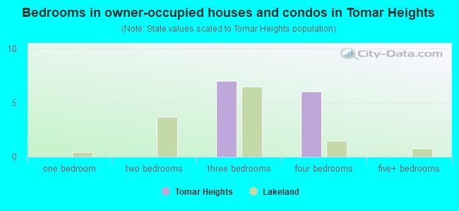 Bedrooms in owner-occupied houses and condos in Tomar Heights