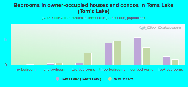 Bedrooms in owner-occupied houses and condos in Toms Lake (Tom's Lake)