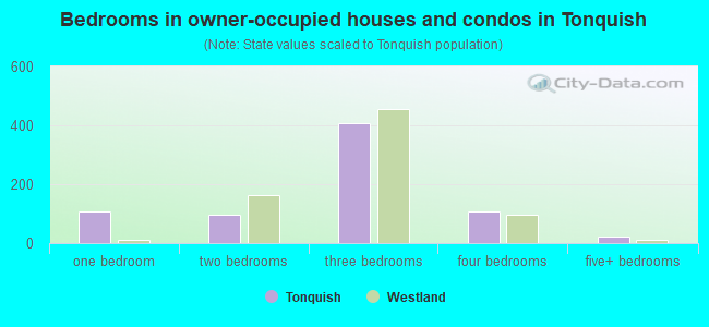 Bedrooms in owner-occupied houses and condos in Tonquish
