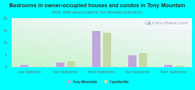 Bedrooms in owner-occupied houses and condos in Tony Mountain
