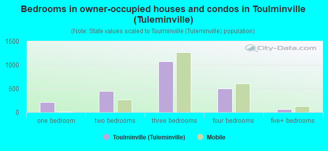 Bedrooms in owner-occupied houses and condos in Toulminville (Tuleminville)