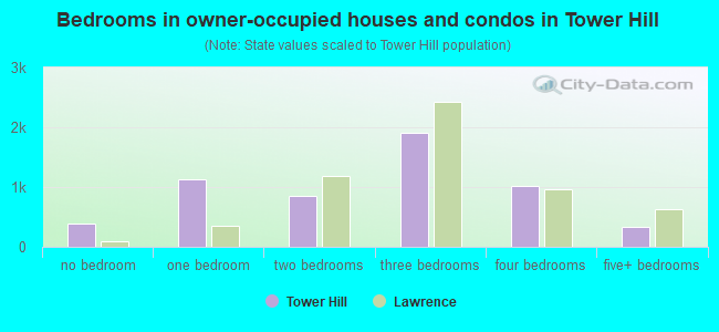 Bedrooms in owner-occupied houses and condos in Tower Hill