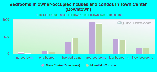 Bedrooms in owner-occupied houses and condos in Town Center (Downtown)