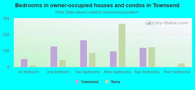 Bedrooms in owner-occupied houses and condos in Townsend