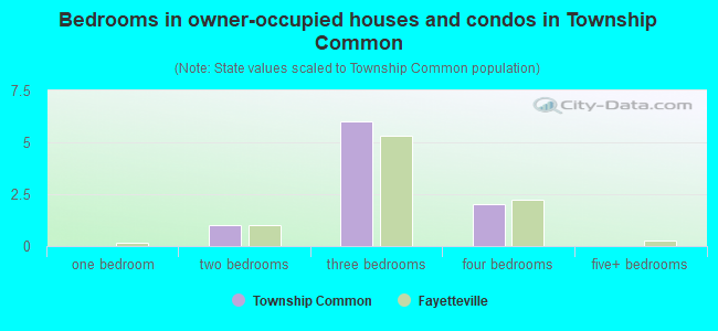 Bedrooms in owner-occupied houses and condos in Township Common