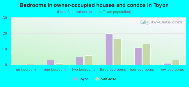Bedrooms in owner-occupied houses and condos in Toyon