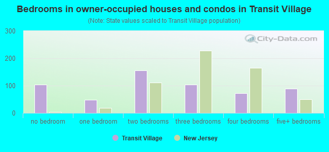 Bedrooms in owner-occupied houses and condos in Transit Village