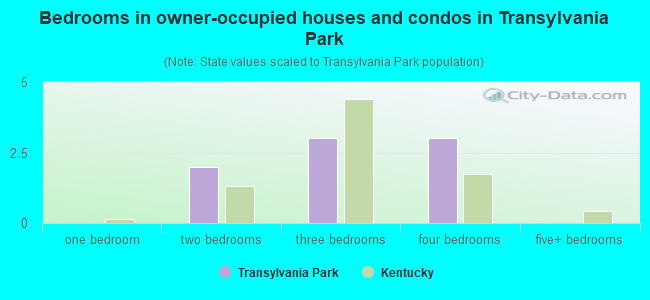 Bedrooms in owner-occupied houses and condos in Transylvania Park