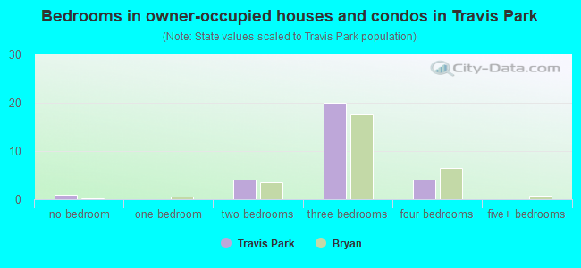 Bedrooms in owner-occupied houses and condos in Travis Park