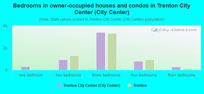 Bedrooms in owner-occupied houses and condos in Trenton City Center (City Center)
