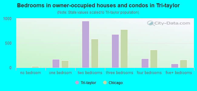 Bedrooms in owner-occupied houses and condos in Tri-taylor