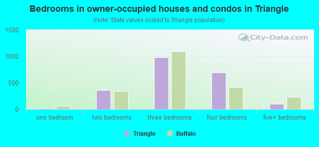 Bedrooms in owner-occupied houses and condos in Triangle