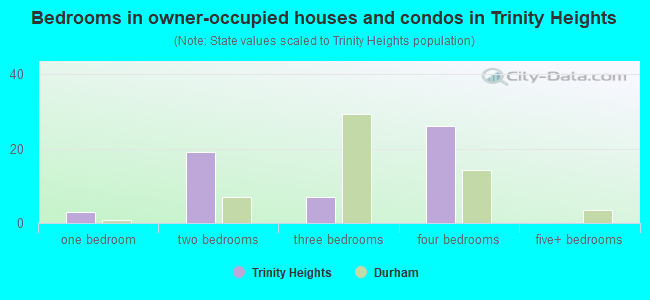 Bedrooms in owner-occupied houses and condos in Trinity Heights