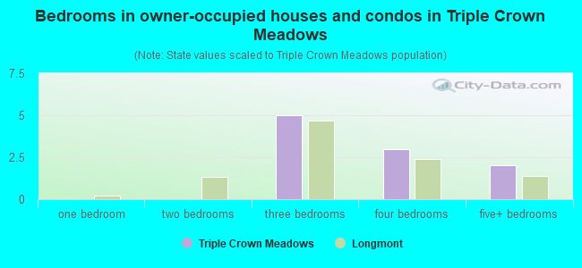Bedrooms in owner-occupied houses and condos in Triple Crown Meadows