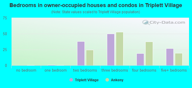 Bedrooms in owner-occupied houses and condos in Triplett Village