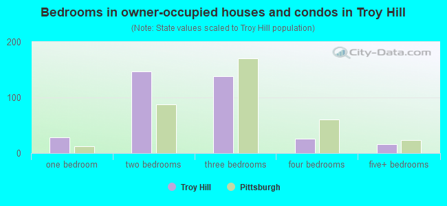 Bedrooms in owner-occupied houses and condos in Troy Hill