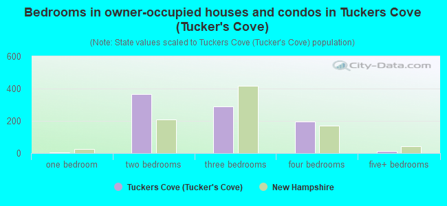 Bedrooms in owner-occupied houses and condos in Tuckers Cove (Tucker's Cove)