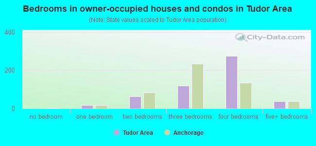Bedrooms in owner-occupied houses and condos in Tudor Area