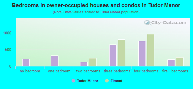 Bedrooms in owner-occupied houses and condos in Tudor Manor