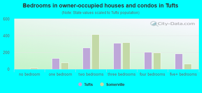 Bedrooms in owner-occupied houses and condos in Tufts