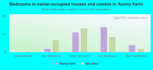 Bedrooms in owner-occupied houses and condos in Tuomy Farm