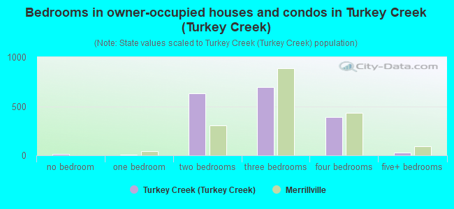 Bedrooms in owner-occupied houses and condos in Turkey Creek (Turkey Creek)