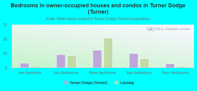 Bedrooms in owner-occupied houses and condos in Turner Dodge (Turner)