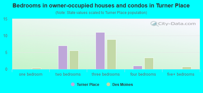 Bedrooms in owner-occupied houses and condos in Turner Place