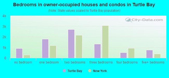Bedrooms in owner-occupied houses and condos in Turtle Bay