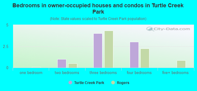 Bedrooms in owner-occupied houses and condos in Turtle Creek Park