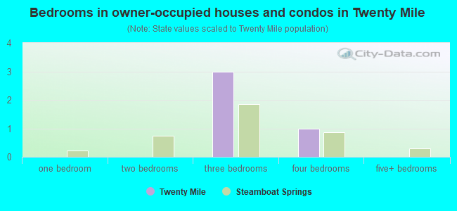 Bedrooms in owner-occupied houses and condos in Twenty Mile