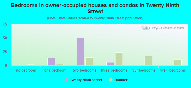 Bedrooms in owner-occupied houses and condos in Twenty Ninth Street