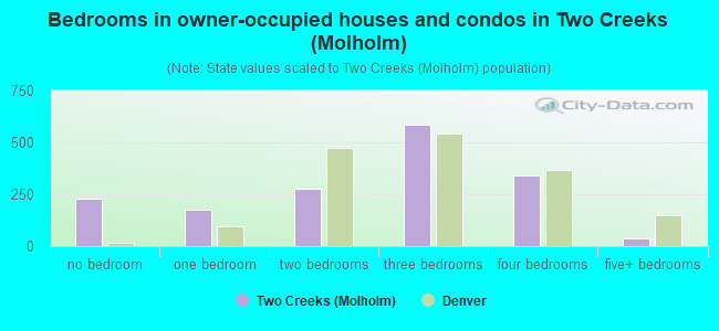 Bedrooms in owner-occupied houses and condos in Two Creeks (Molholm)