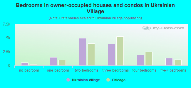 Bedrooms in owner-occupied houses and condos in Ukrainian Village