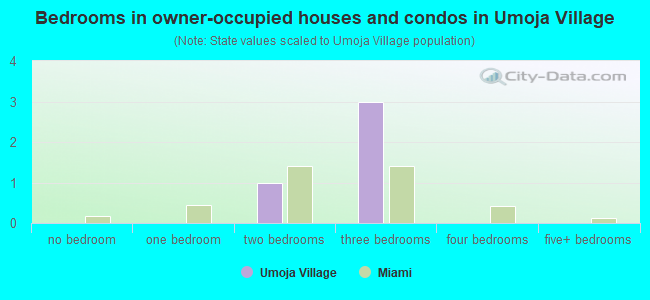 Bedrooms in owner-occupied houses and condos in Umoja Village
