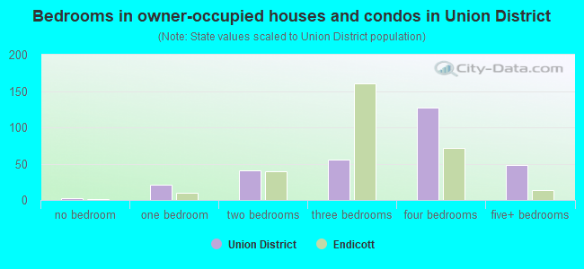 Bedrooms in owner-occupied houses and condos in Union District