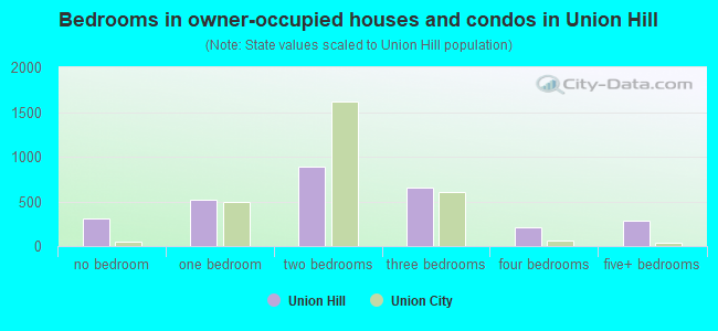 Bedrooms in owner-occupied houses and condos in Union Hill