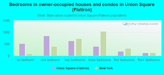 Bedrooms in owner-occupied houses and condos in Union Square (Flatiron)