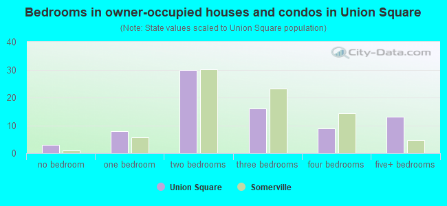 Bedrooms in owner-occupied houses and condos in Union Square