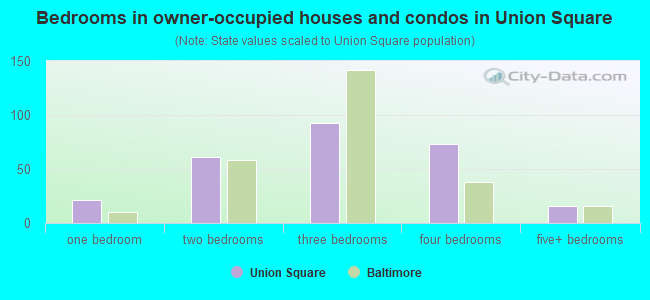 Bedrooms in owner-occupied houses and condos in Union Square