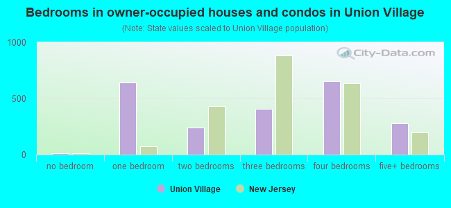 Bedrooms in owner-occupied houses and condos in Union Village