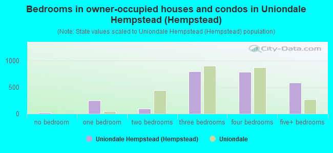 Bedrooms in owner-occupied houses and condos in Uniondale Hempstead (Hempstead)