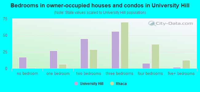 Bedrooms in owner-occupied houses and condos in University Hill