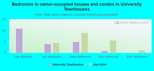 Bedrooms in owner-occupied houses and condos in University Townhouses