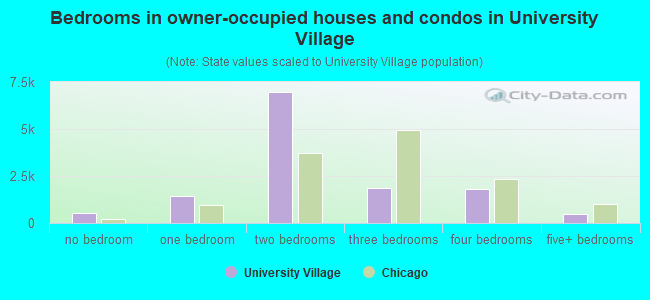 Bedrooms in owner-occupied houses and condos in University Village