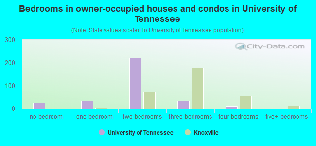 Bedrooms in owner-occupied houses and condos in University of Tennessee